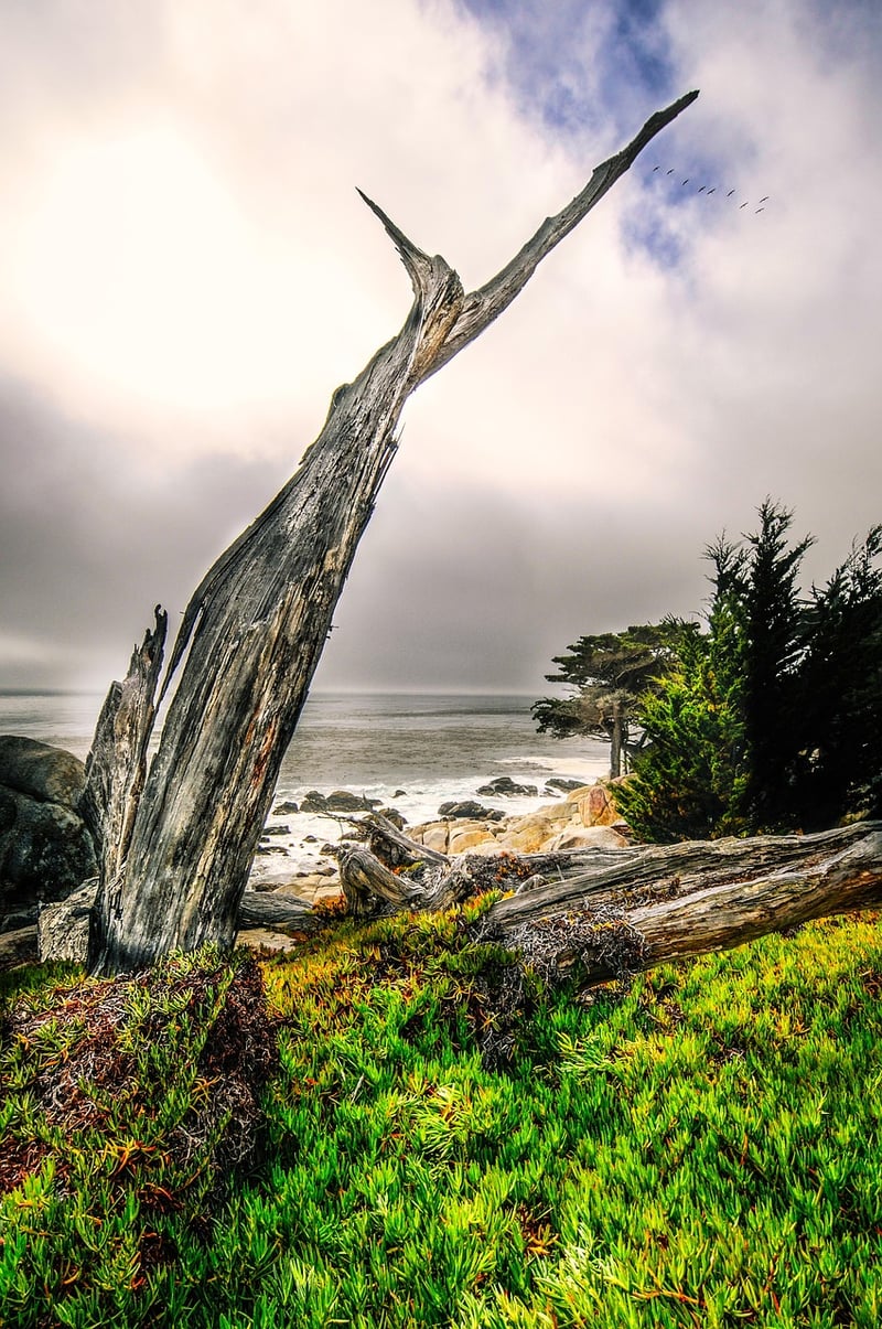 Big Sur, California Beach