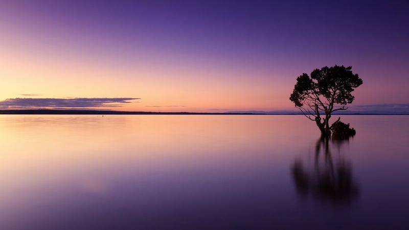Sunset on the beach